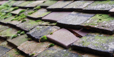 Cilgwyn roof repair costs